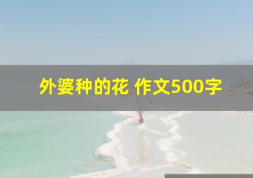 外婆种的花 作文500字